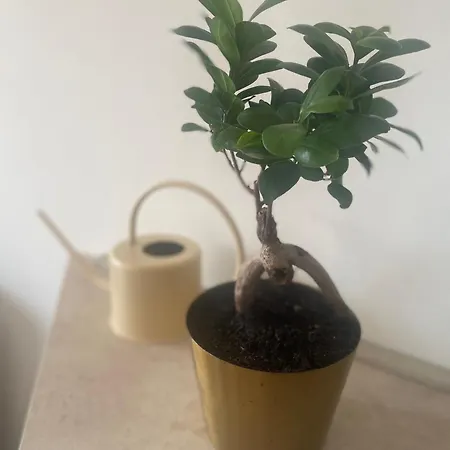 Appartamento Water Lily *